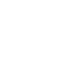 Animated icon for Project feature 2
