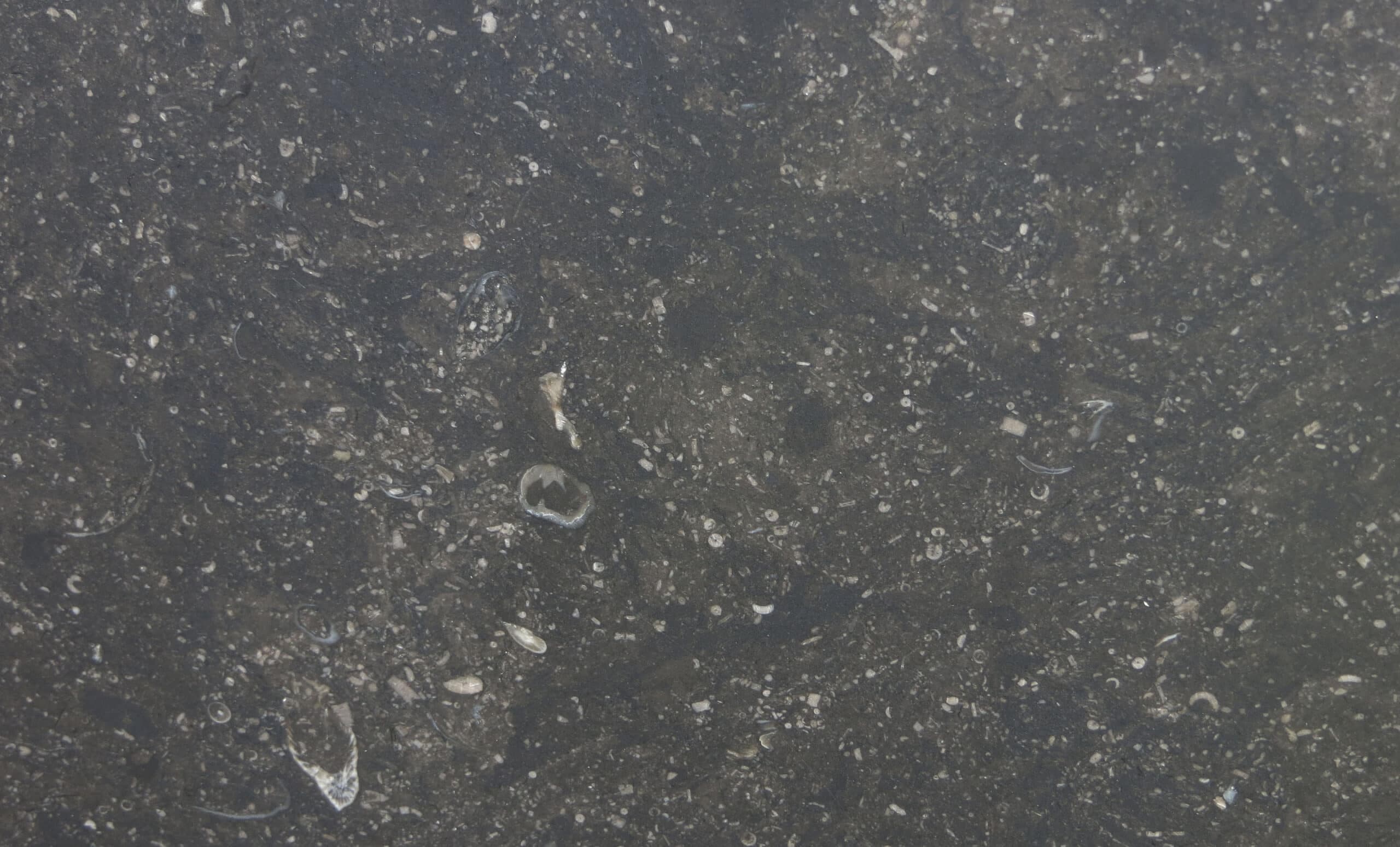 Belgium Blue Marble Stone